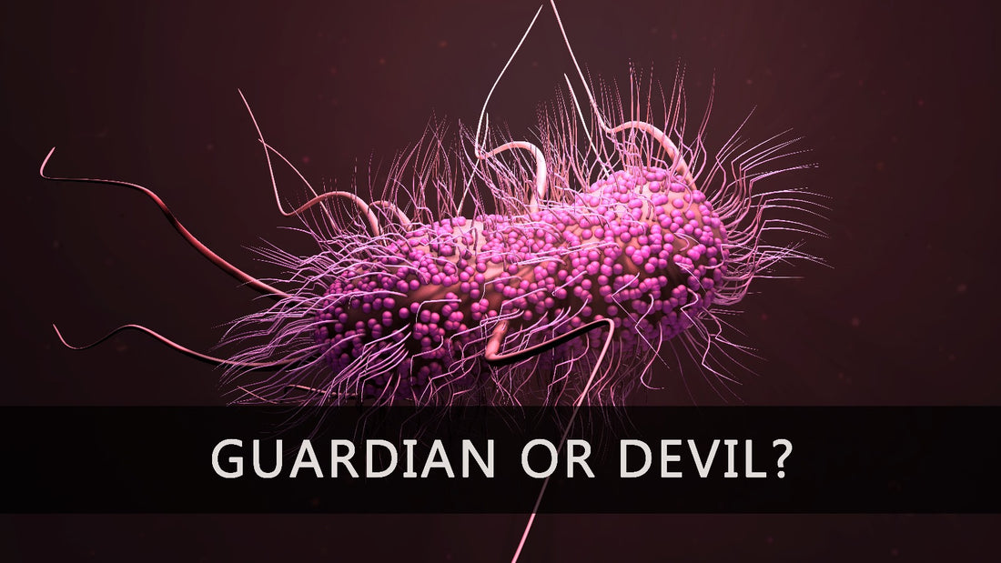 E. coli: the guardian of the gut or a devil in disguise?