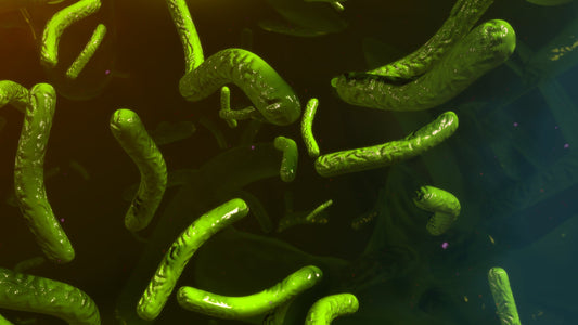 Tuberculosis: the fall and return of an ancient serial killer