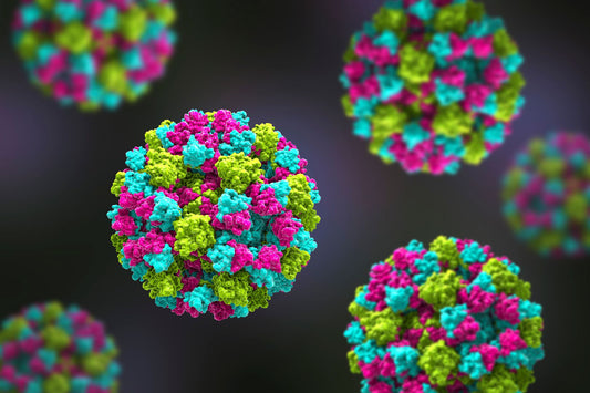 Picture of the zoomed in virus particle