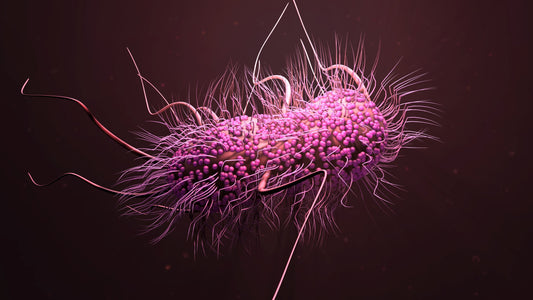 Chapter 1: E. coli joins the pathogenic dark forces