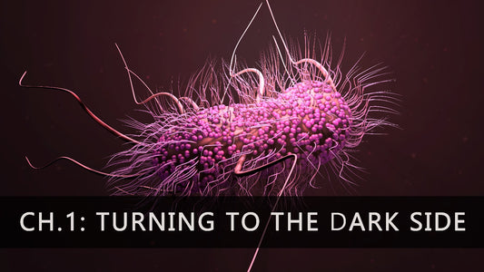 Chapter 1: E. coli joins the pathogenic dark forces