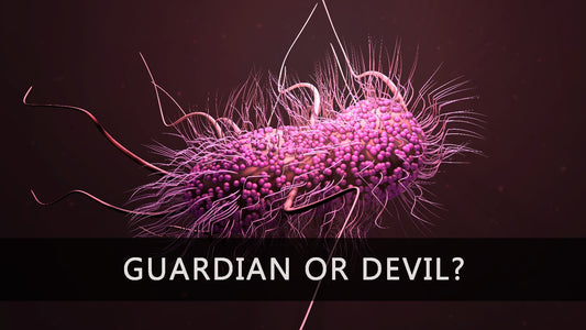 E. coli: the guardian of the gut or a devil in disguise?