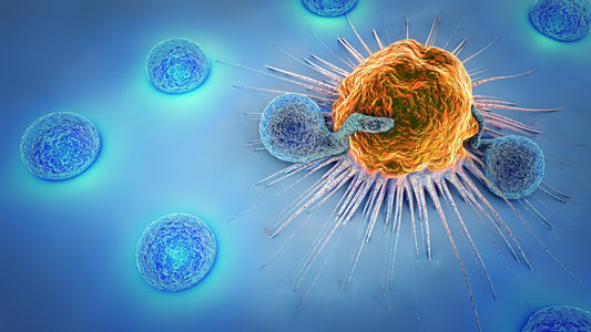 Natural Killer Cells: the James Bond of your immune system