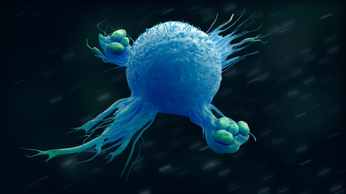 Macrophages and their chamber of death