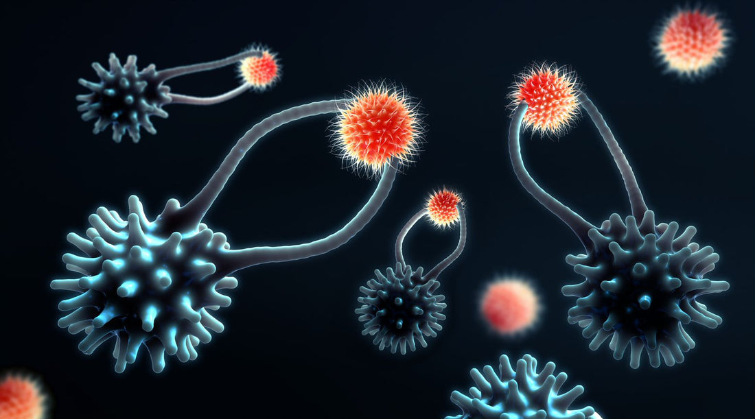 Cytotoxic T cells: the immune secret weapon behind CAR-T cell therapy and cancer defense